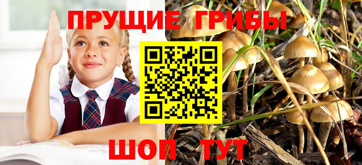 Псилоцибиновые грибы ЛСД  Вход с VPN  Кстово 